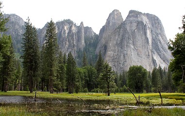 Image showing Yosemite Meadow