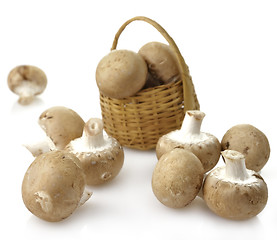 Image showing Mushrooms