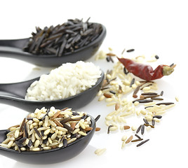 Image showing Rice Assortment