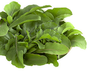 Image showing Salad Rocket leaves -  Rucola