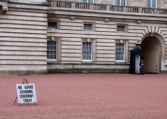 Image showing Guard at Buckingham palace