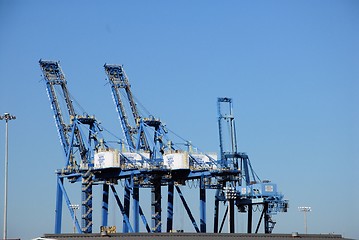 Image showing Three cranes