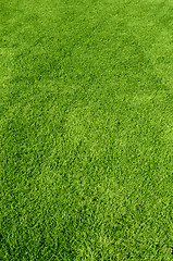 Image showing green grass texture