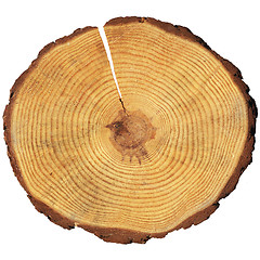 Image showing wooden circle with a split cut of the log