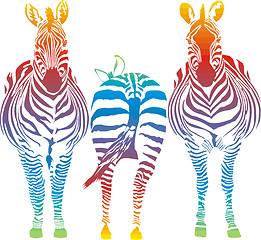 Image showing rainbow zebra