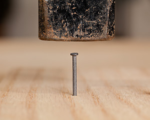 Image showing Nail being hit into wood by hammer