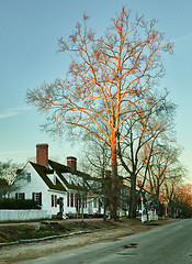 Image showing Old houses in Colonial Williamsburg
