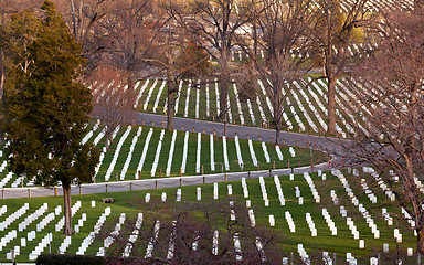 Image showing Roadway in Arlington Cemetery