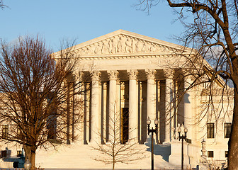 Image showing Winter trees frame Supreme court