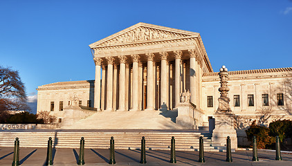 Image showing Winter trees frame Supreme court