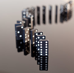Image showing Dominoes standing on reflective surface