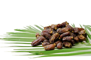 Image showing Dates Fruit isolated on white Background