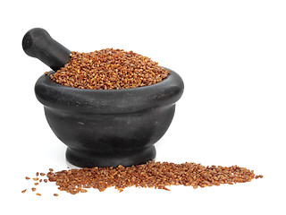 Image showing Bilta Seed Herb