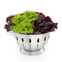 Image showing Tricolour Lettuce