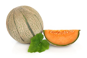 Image showing Cantaloupe Melon