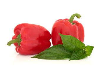 Image showing Red Peppers