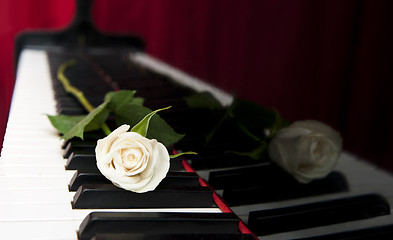 Image showing Rose on piano