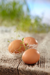 Image showing fresh brown eggs