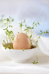 Image showing fresh brown egg