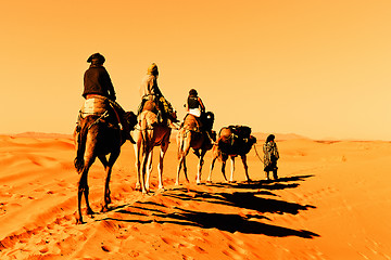 Image showing Camel Caravan in the Sahara Desert