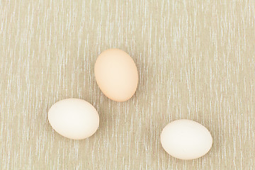 Image showing eggs