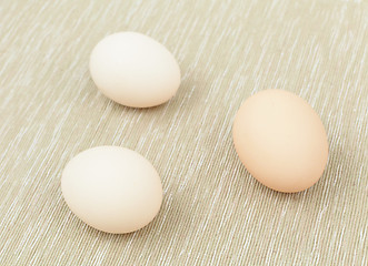 Image showing eggs