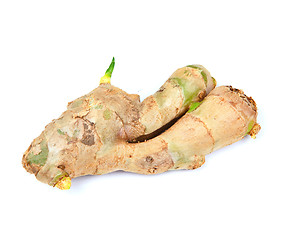 Image showing ginger