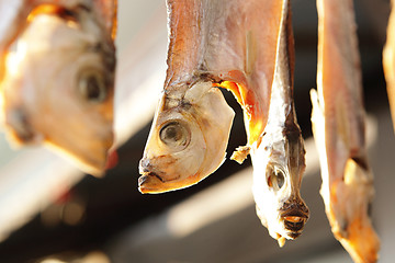 Image showing Dried salt Fish