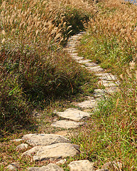 Image showing mountain path