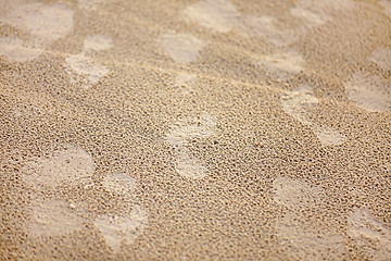 Image showing footprints after rain