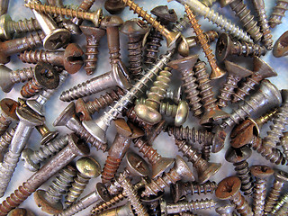 Image showing screws