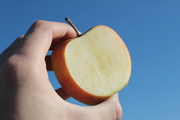 Image showing the apple