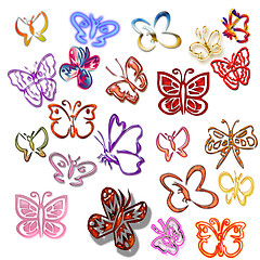 Image showing Colorful butterflies