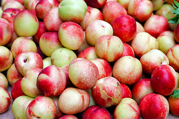 Image showing Nectarines