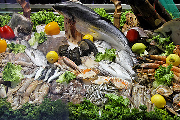 Image showing Fish selection