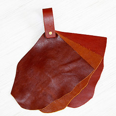 Image showing Leather samples