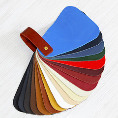 Image showing Leather color