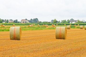 Image showing Field haystack