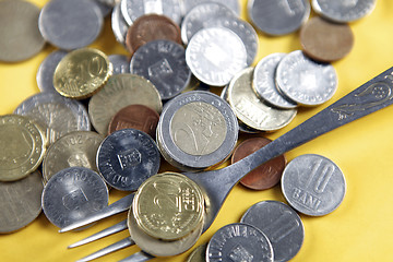 Image showing Money for eat