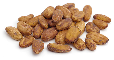 Image showing Cacao beans.