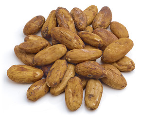 Image showing Cacao beans.