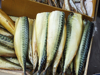 Image showing smoked mackerel