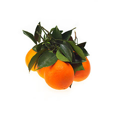 Image showing fresh orange isolated