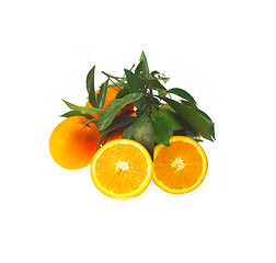 Image showing fresh orange isolated