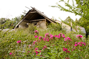 Image showing Abandoned village. Crumbling house garden residue