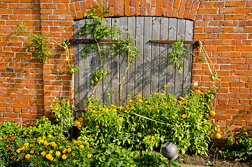 Image showing building wall and door tomato and flowers garden 