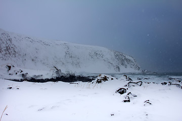 Image showing snow and ice around ocean 2