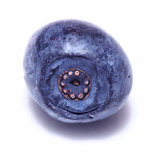 Image showing blueberry