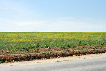 Image showing rural road