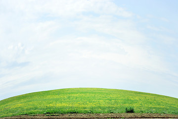 Image showing solar meadow